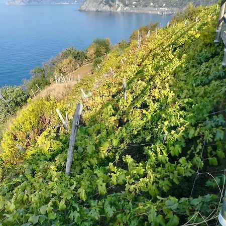 Guest house Ines Manarola